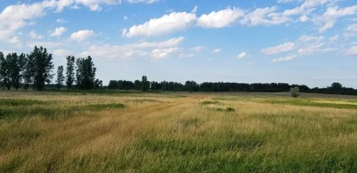 740 40th Street NE, Benson, MN 56215