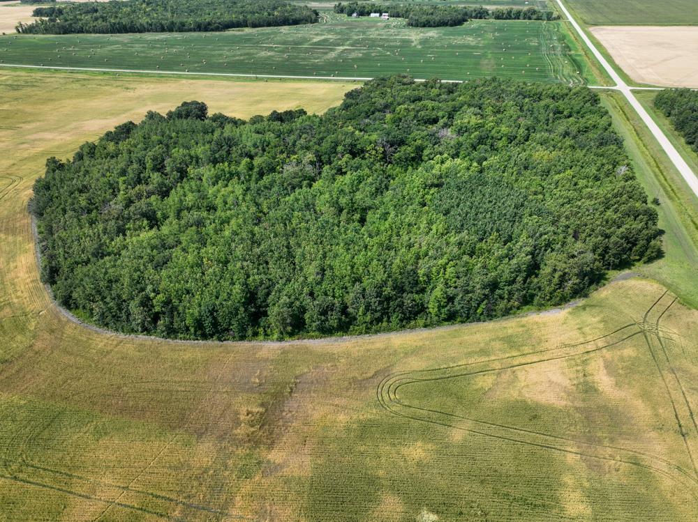 Photo for 000 120th Street SE, Trail, MN 56684 - Listing #6419543 000 120th Street SE, Trail, MN 56684