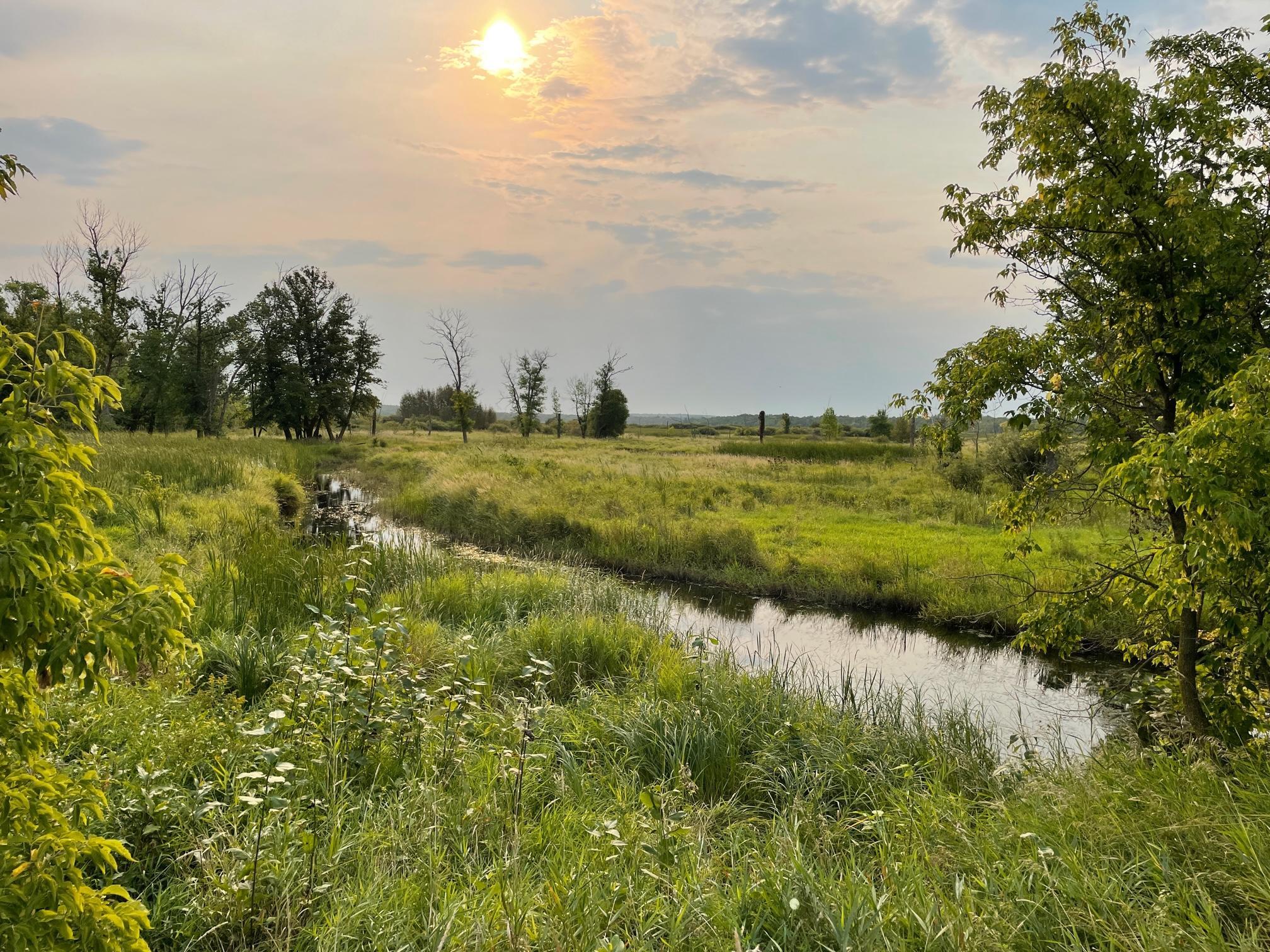 Land For Sale CENTURY 21 Dickinson Realtors