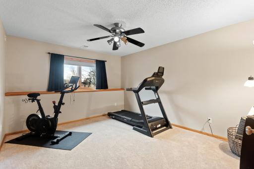 Fifth bedroom in lower level is spacious and updated! A perfect guest room, exercise space or whatever suits your needs.