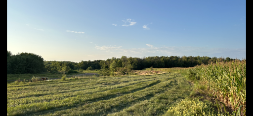 Photo for X 770 Street, Mondovi, WI 54755 - Listing #6439559 X 770 Street, Mondovi, WI 54755