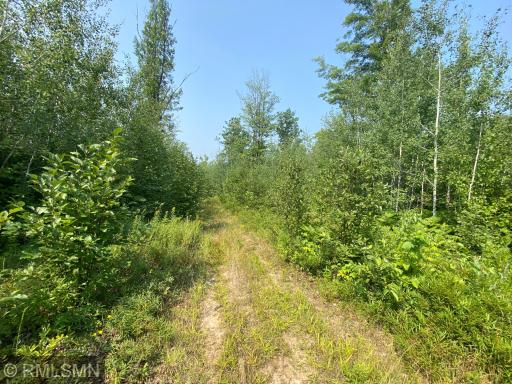 Photo for xxx Rutabaga Road, Askov, MN 55704 - Listing #6244567 xxx Rutabaga Road, Askov, MN 55704