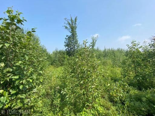Photo for xxx Rutabaga Road, Askov, MN 55704 - Listing #6244567 xxx Rutabaga Road, Askov, MN 55704