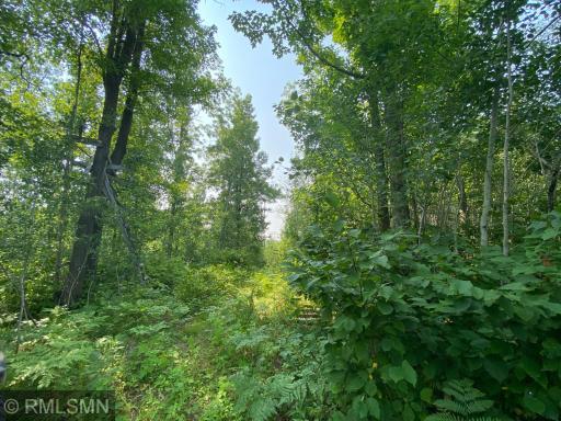 Photo for xxx Rutabaga Road, Askov, MN 55704 - Listing #6244567 xxx Rutabaga Road, Askov, MN 55704