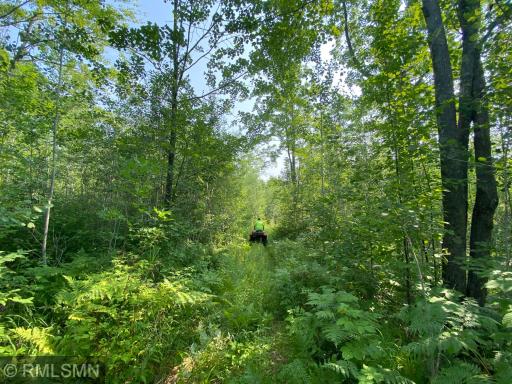 Photo for xxx Rutabaga Road, Askov, MN 55704 - Listing #6244567 xxx Rutabaga Road, Askov, MN 55704