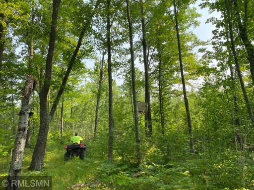 Photo for xxx Rutabaga Road, Askov, MN 55704 - Listing #6244567 xxx Rutabaga Road, Askov, MN 55704