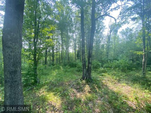 Photo for xxx Rutabaga Road, Askov, MN 55704 - Listing #6244567 xxx Rutabaga Road, Askov, MN 55704