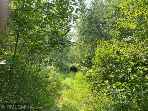 Photo for xxx Rutabaga Road, Askov, MN 55704 - Listing #6244567 xxx Rutabaga Road, Askov, MN 55704