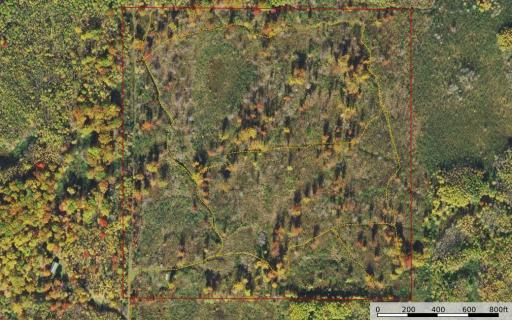 xxx Rutabaga Road, Askov, MN 55704