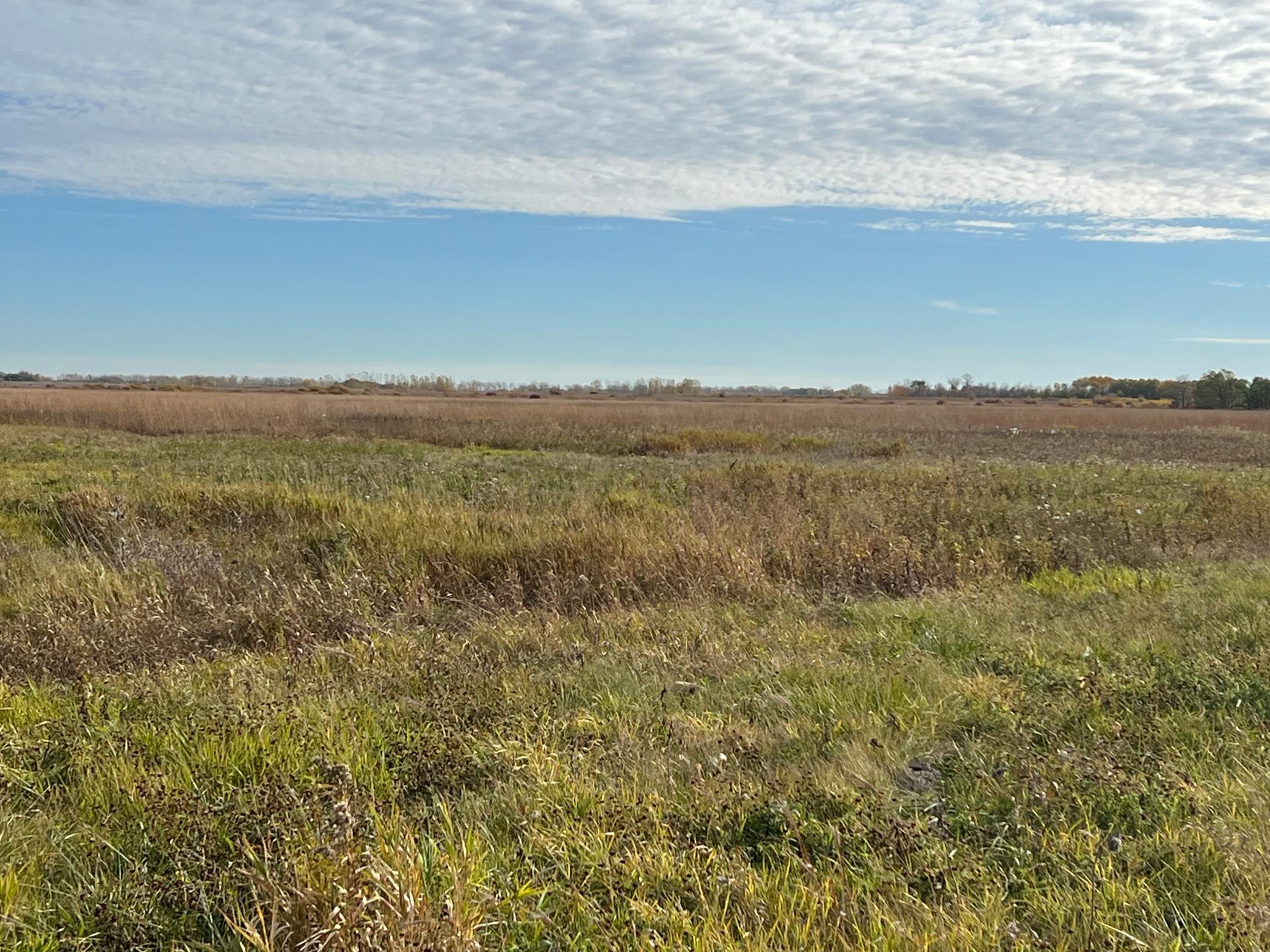 Photo for TBD SW 240TH AVE SW, Euclid, MN 56722 - Listing #6449579 TBD SW 240TH AVE SW, Euclid, MN 56722