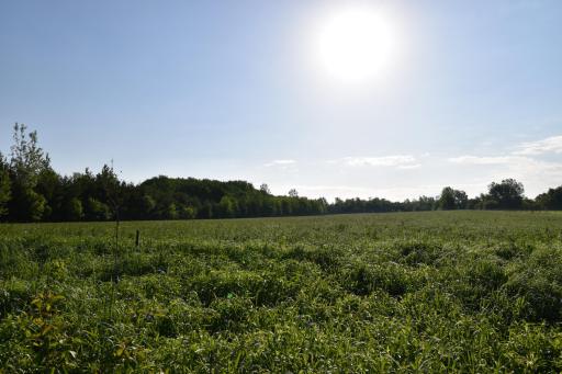 683 County Road T, Hammond, WI 54015