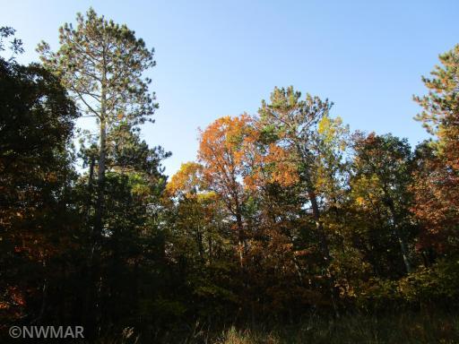4910 Whitetail Road NE, Bemidji, MN 56601