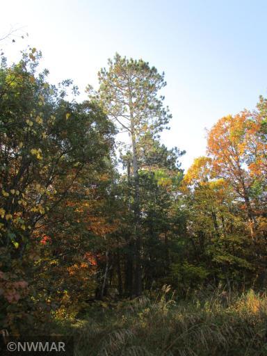 4910 Whitetail Road NE, Bemidji, MN 56601