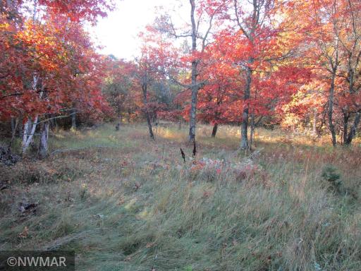4910 Whitetail Road NE, Bemidji, MN 56601