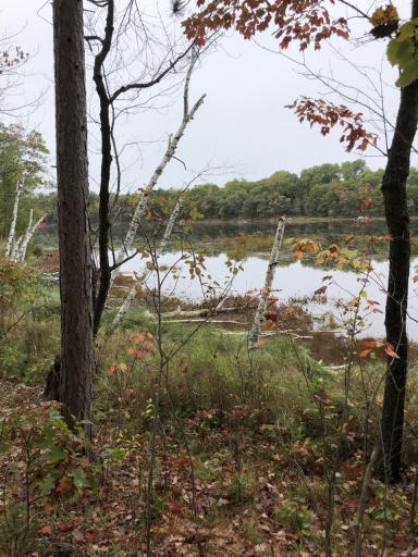 Photo for 0 Brown Road, Danbury, WI 54830 - Listing #6113623 0 Brown Road, Danbury, WI 54830