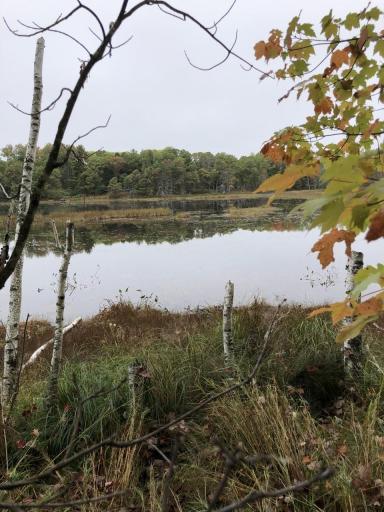 Photo for 0 Brown Road, Danbury, WI 54830 - Listing #6113623 0 Brown Road, Danbury, WI 54830