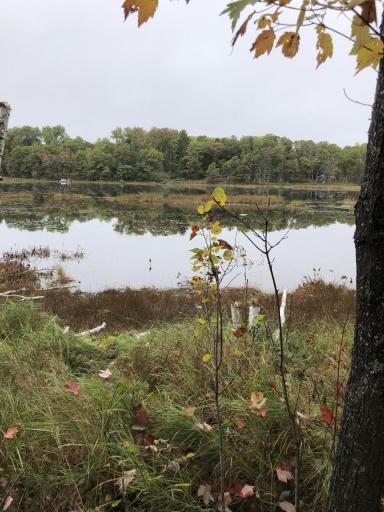 Photo for 0 Brown Road, Danbury, WI 54830 - Listing #6113623 0 Brown Road, Danbury, WI 54830