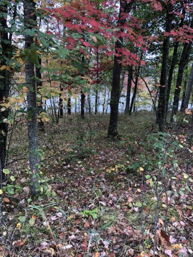 Photo for 0 Brown Road, Danbury, WI 54830 - Listing #6113623 0 Brown Road, Danbury, WI 54830