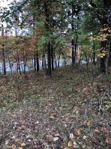 Photo for 0 Brown Road, Danbury, WI 54830 - Listing #6113623 0 Brown Road, Danbury, WI 54830