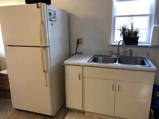 Kitchen Sink & Fridge