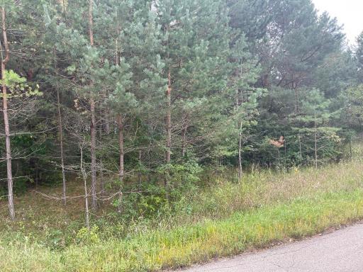 Lot 3 Blk Goldstone Drive, Long Prairie, MN 56347