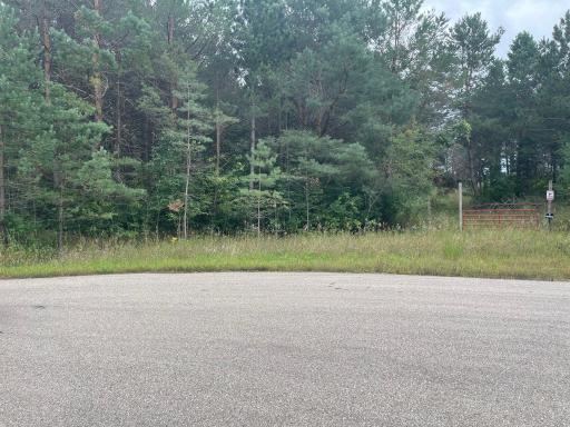 Lot 3 Blk Goldstone Drive, Long Prairie, MN 56347