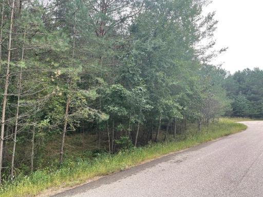 Lot 3 Blk Goldstone Drive, Long Prairie, MN 56347