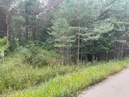 Lot 3 Blk Goldstone Drive, Long Prairie, MN 56347