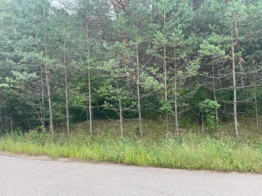Lot 3 Blk Goldstone Drive, Long Prairie, MN 56347