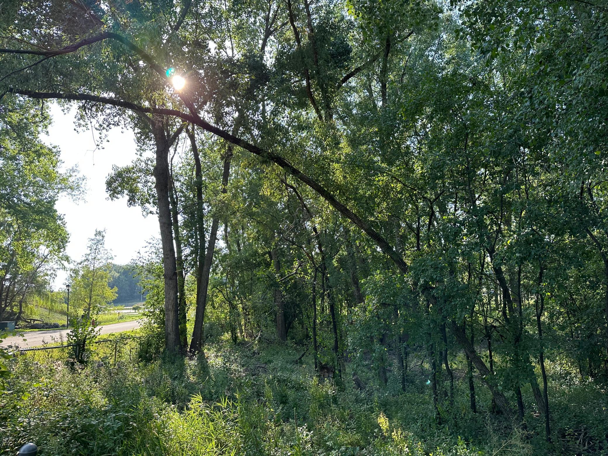 Photo for Lot 3 Bloc Kenrick Avenue, Lakeville, MN 55044 - Listing #6423656 Lot 3 Bloc Kenrick Avenue, Lakeville, MN 55044