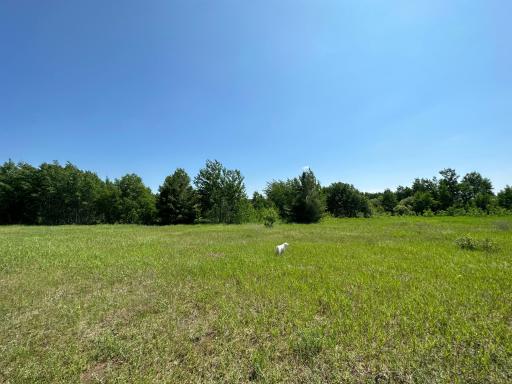 TBD 275th Avenue, Browerville, MN 56438