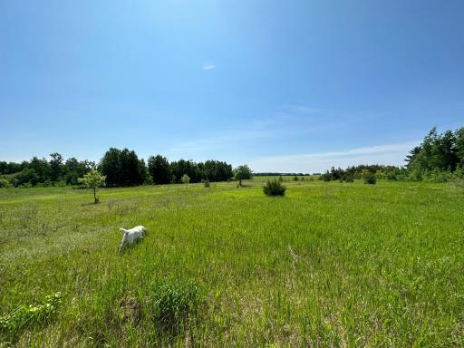 TBD 275th Avenue, Browerville, MN 56438