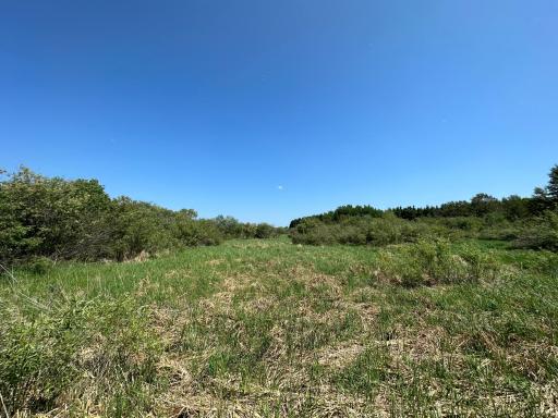 TBD 275th Avenue, Browerville, MN 56438