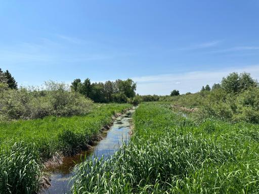 TBD 275th Avenue, Browerville, MN 56438