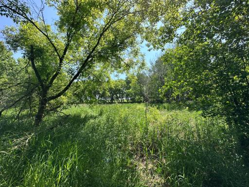 TBD 275th Avenue, Browerville, MN 56438