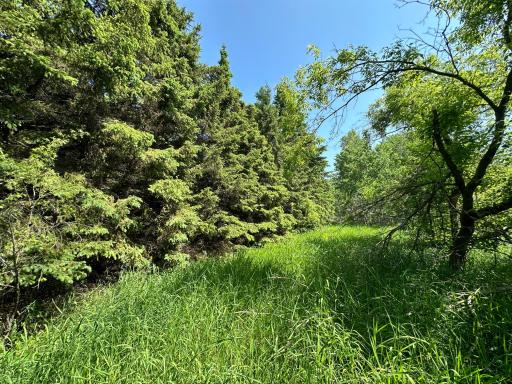 TBD 275th Avenue, Browerville, MN 56438