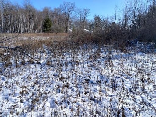 Salmonson river Trail 6.jpg