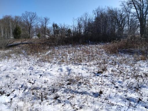 Salmonson River Trail 5.jpg