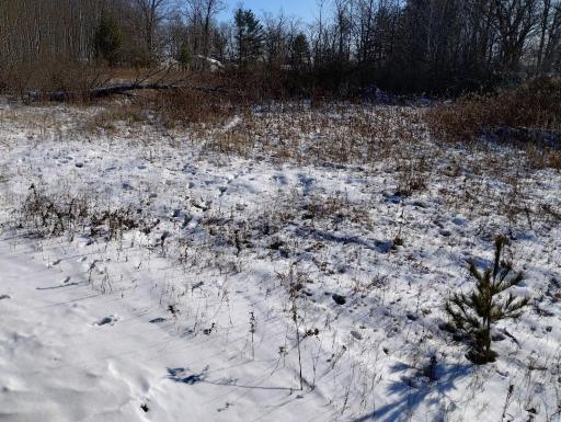 Salmonson River Trail 4.jpg