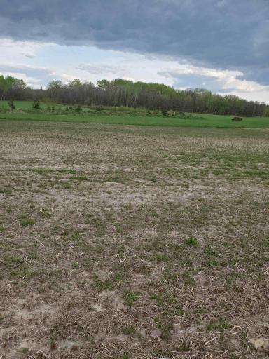 North of Park Rapids.jpg