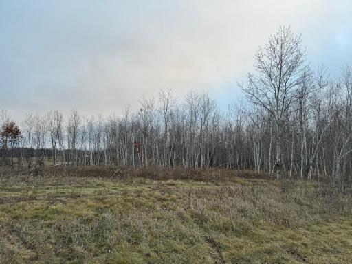 Lot 1 15th Avenue, Osceola, WI 54020