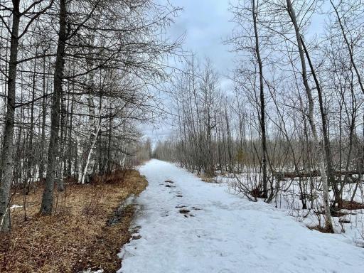 North gate road along north side of property.