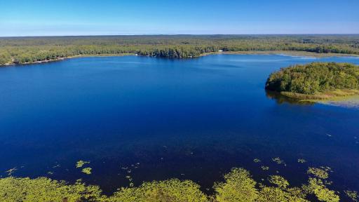 Cedar Lake is clean and peaceful! It's managed by the DNR for sunfish, crappies, and northern pike, and it has walleyes, bass, and and more!