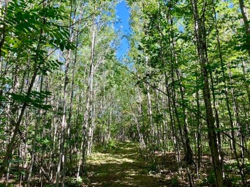 Photo for 2673x Highway 18, Isle, MN 56342 - Listing #6256687 2673x Highway 18, Isle, MN 56342