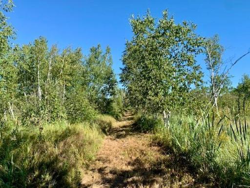 Photo for 2673x Highway 18, Isle, MN 56342 - Listing #6256687 2673x Highway 18, Isle, MN 56342