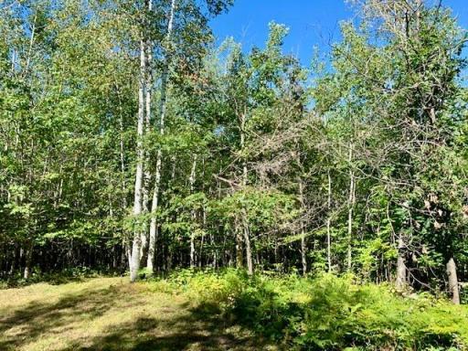 Photo for 2673x Highway 18, Isle, MN 56342 - Listing #6256687 A view of the yard from the deck of the cabin!