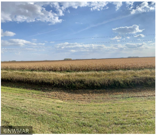 Co Hwy 9 380th Avenue SW, Fisher, MN 56723
