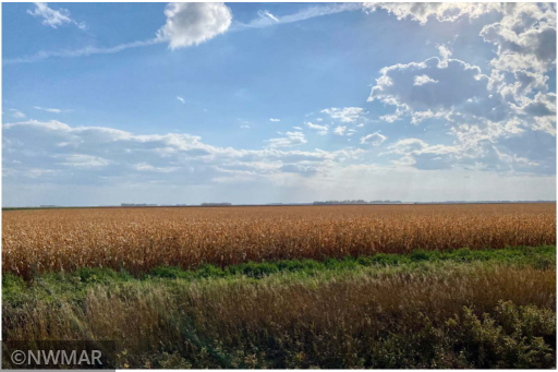 Co Hwy 9 380th Avenue SW, Fisher, MN 56723
