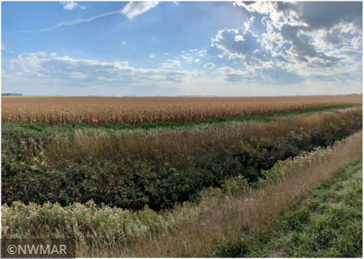 Co Hwy 9 380th Avenue SW, Fisher, MN 56723