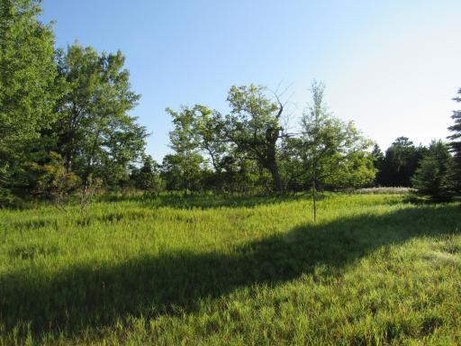 TBD Central Avenue N, Park Rapids, MN 56470